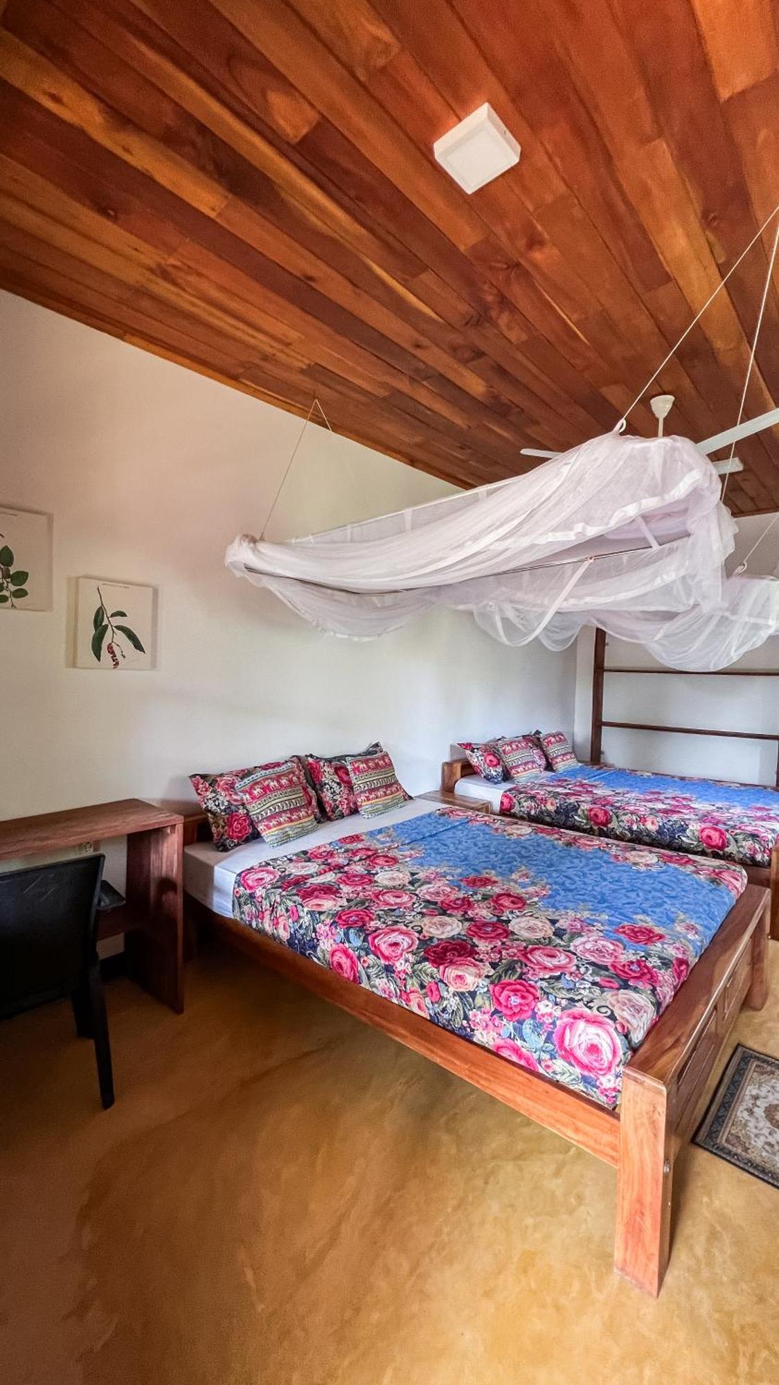 טנגלה Relax Beach House מראה חיצוני תמונה